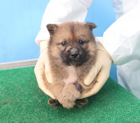 제주 동물보호센터_450650202403823